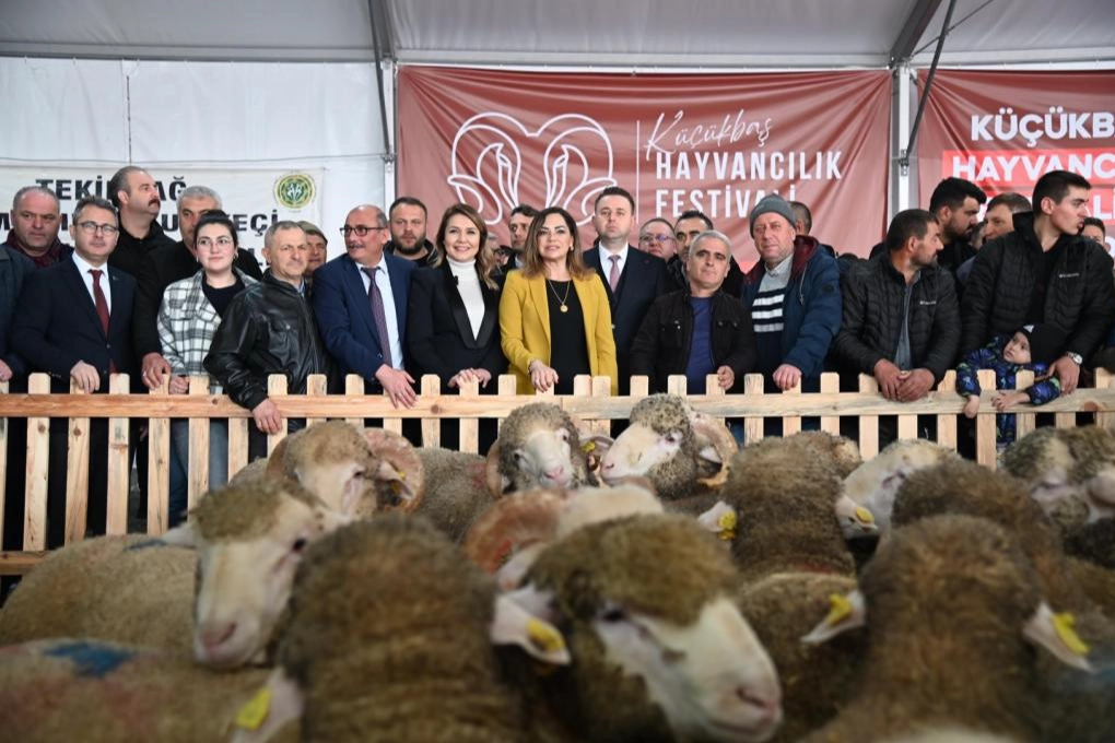 Trakya'nın ilk K&uuml;&ccedil;&uuml;kbaş Hayvancılık Festivali Malkara'da coşkuyla başladı