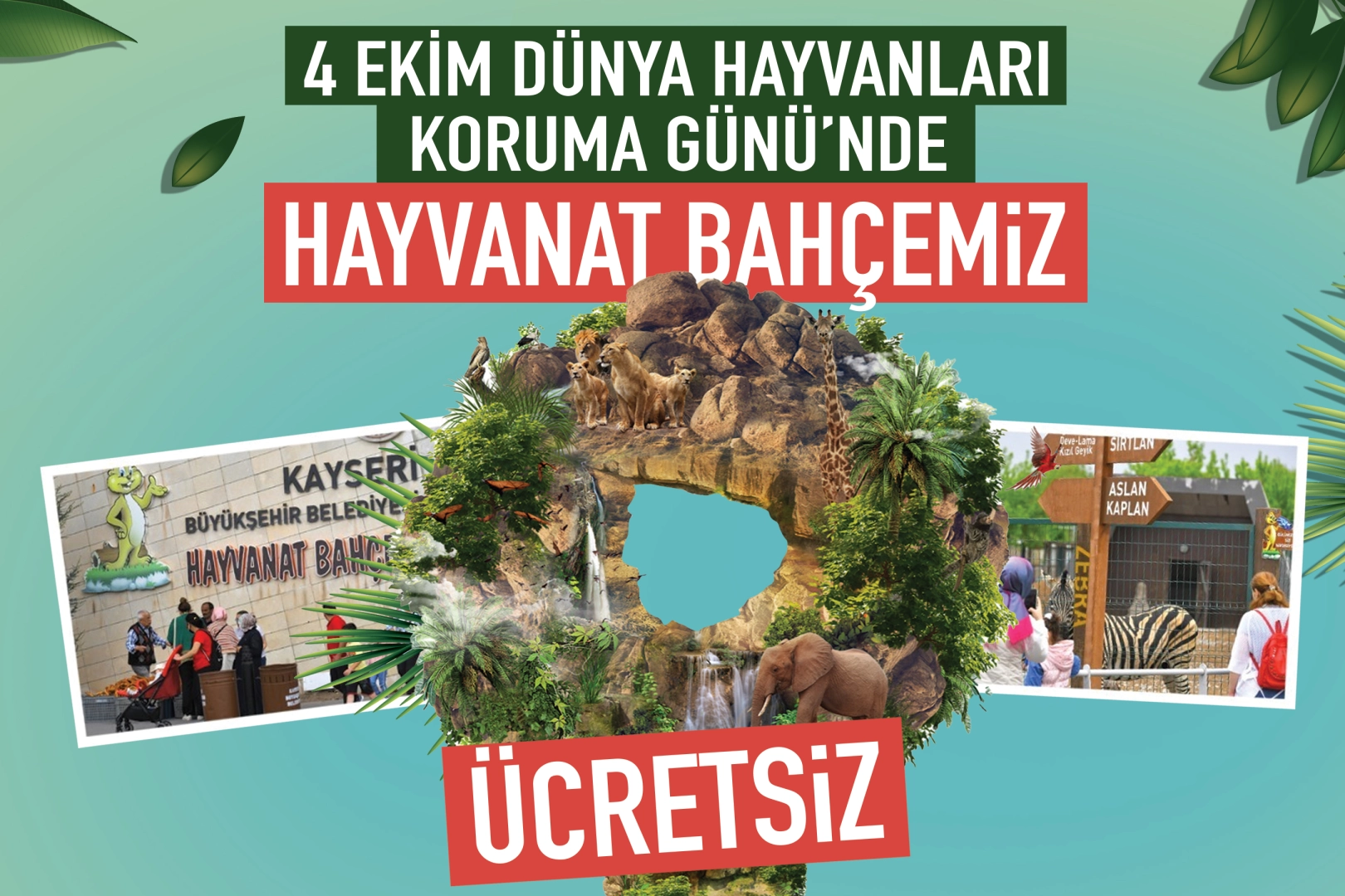 Kayseri'de Hayvanları Koruma Günü’nde “Hayvanat Bahçesi” ücretsiz