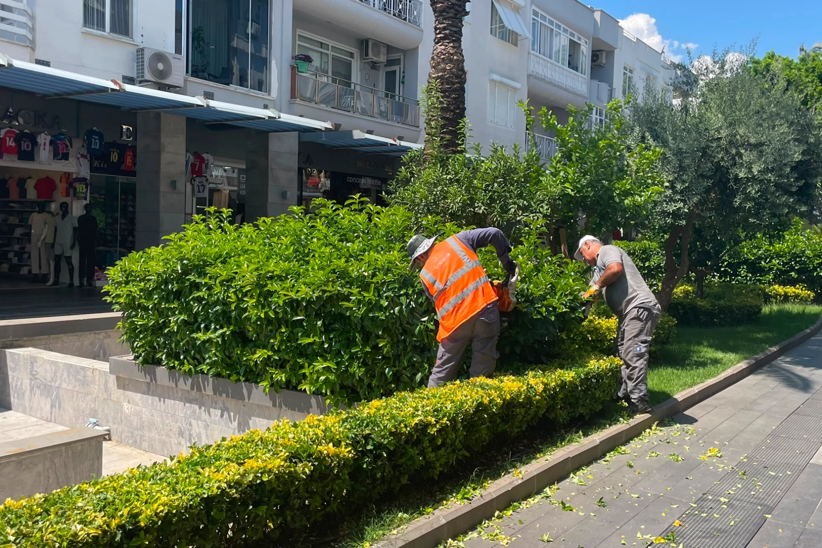 Antalya B&uuml;y&uuml;kşehir&rsquo;den Kemer&rsquo;e &ccedil;evre d&uuml;zenleme