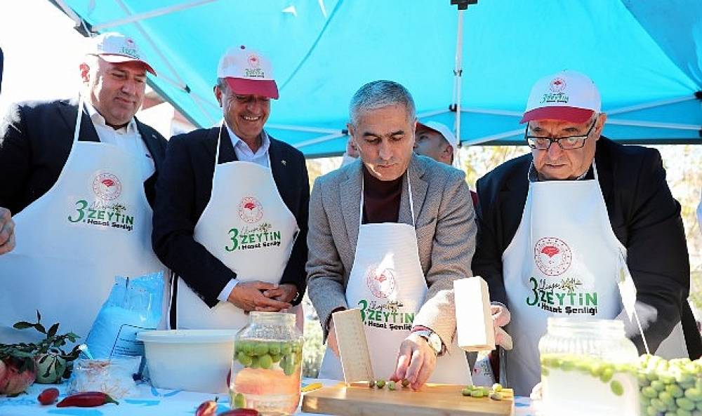 Aliağa'da 3. Zeytin Hasat Şenliği Düzenlendi