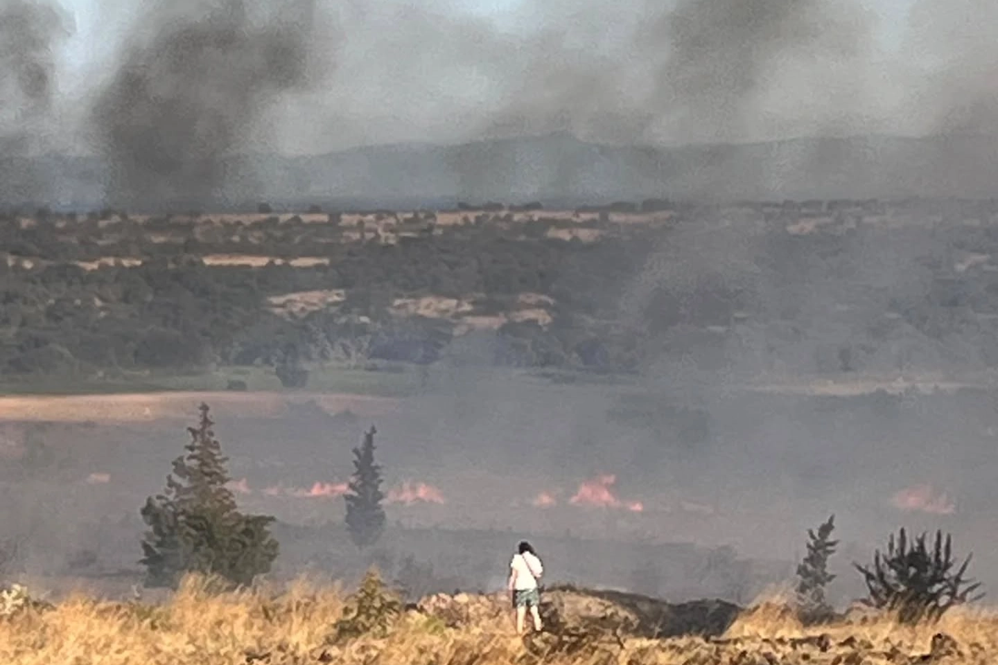 Enez'de orman yangını paniği... G&uuml;l&ccedil;avuş sahili boşaltılıyor
