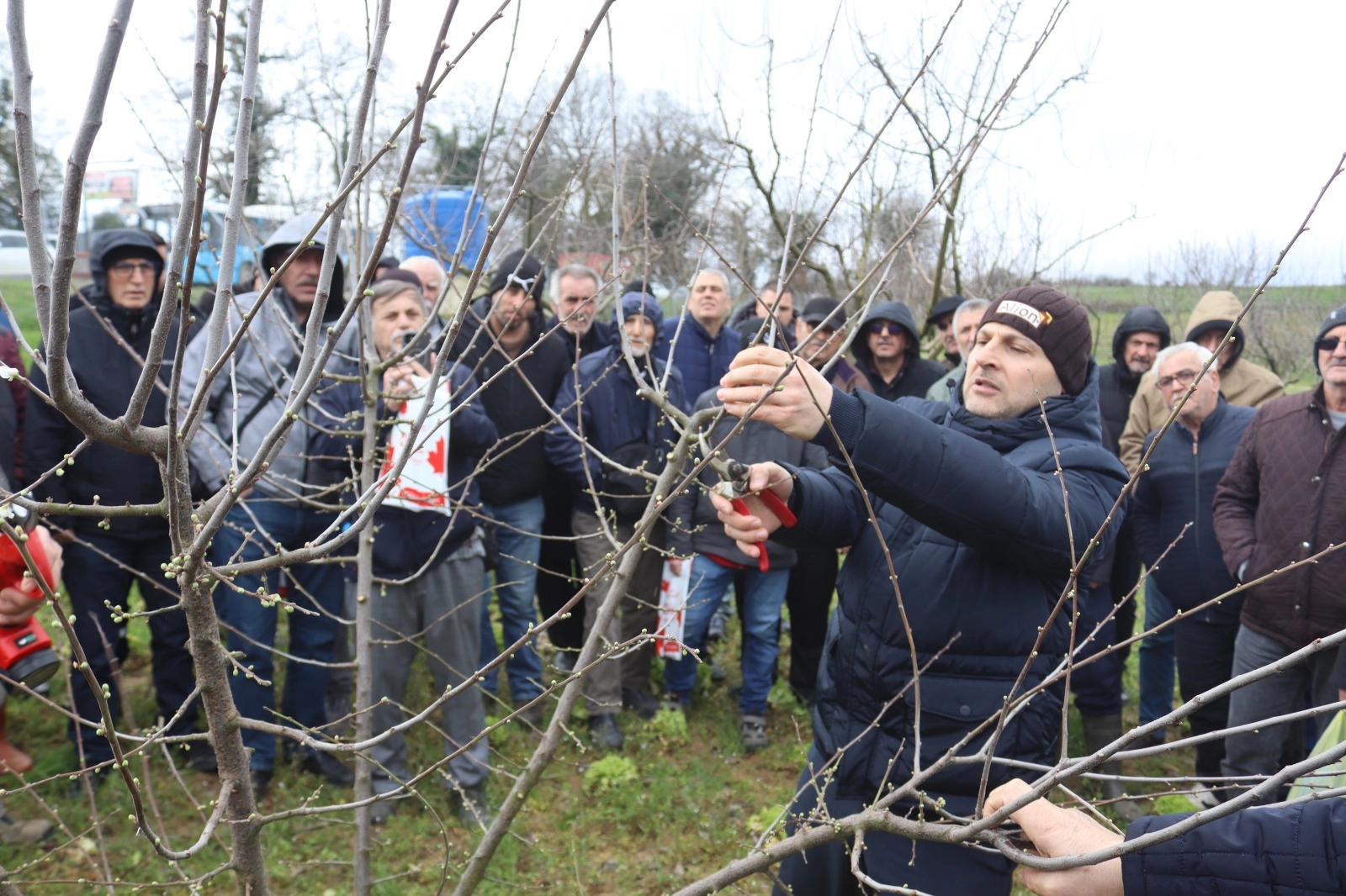 İzmit'te &uuml;reticilere uygulamalı budama eğitimi