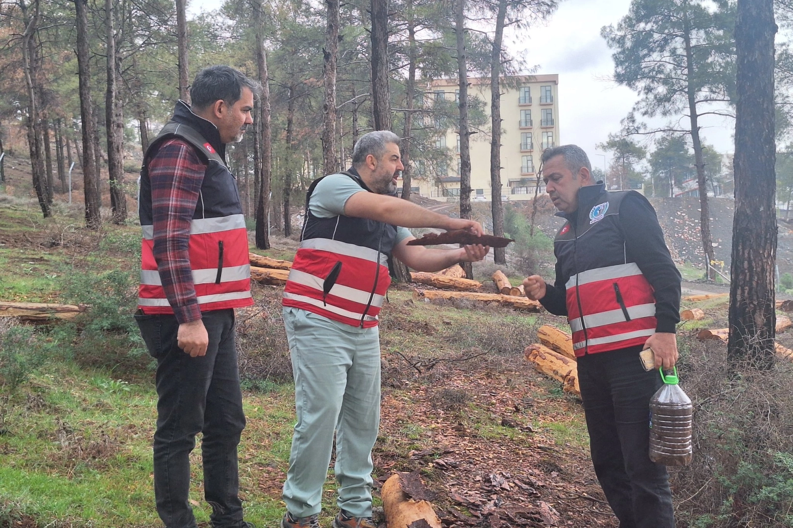 Hatay&rsquo;da m&uuml;cbir ağa&ccedil; kesimlerine 'Tabiatı Koruma'dan a&ccedil;ıklama