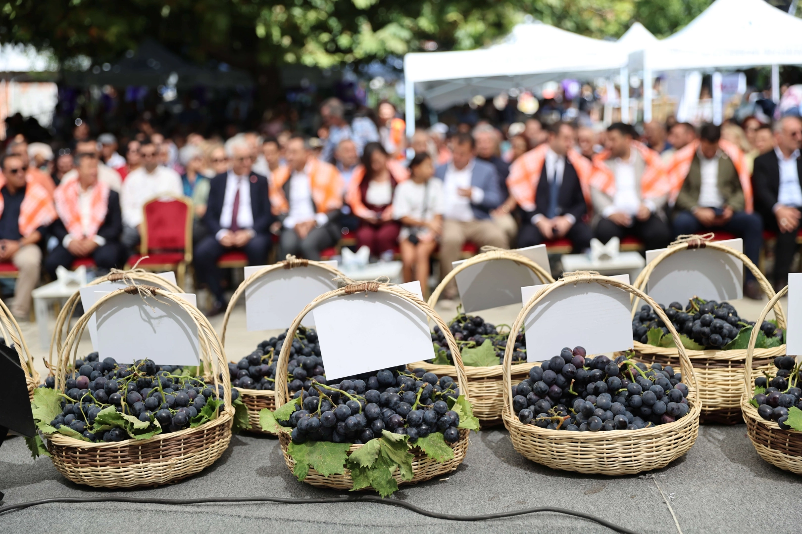 İzmir Karabağlar&rsquo;da Kavacık &Uuml;z&uuml;m Festivali coşkusu