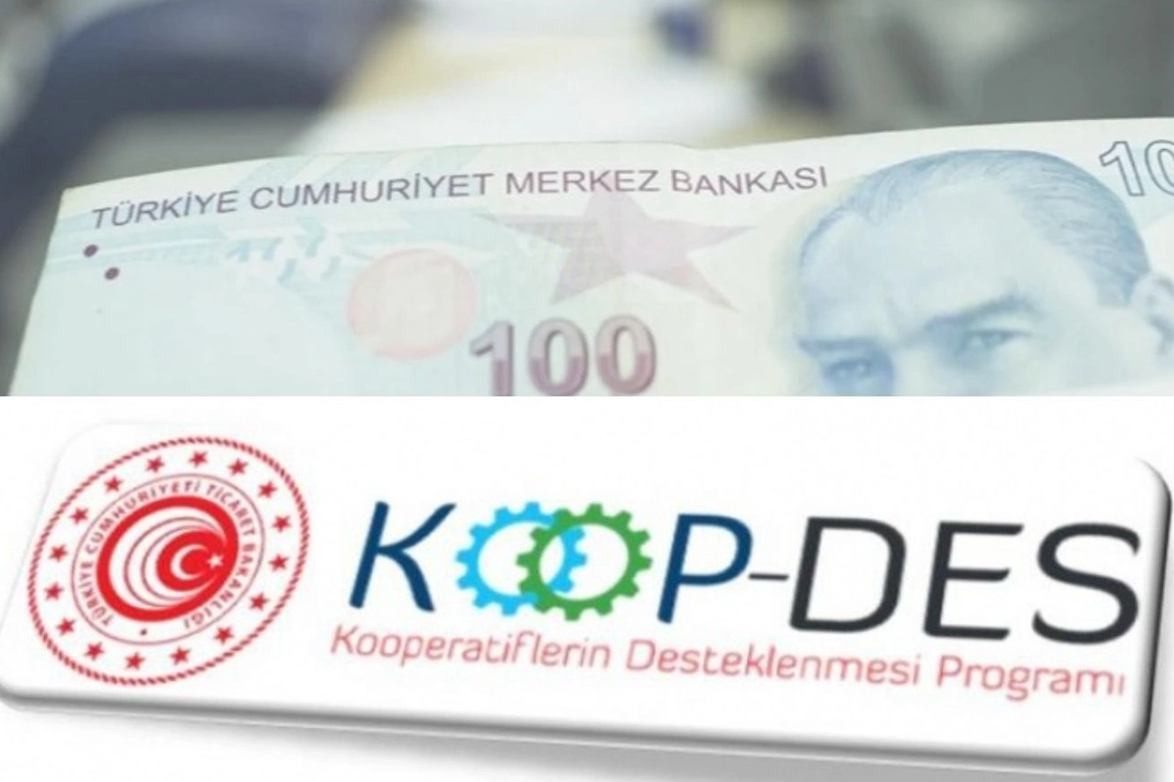 KOOP-DES Y&ouml;netmeliği&rsquo;nde değişiklik Resmi Gazete'de