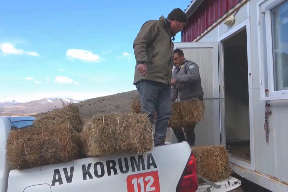 Niğde Demirkazık&rsquo;ta yaban hayatına kış desteği