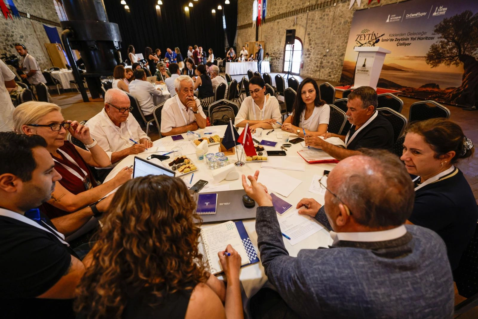 İzmir'de zeytininin yol haritası &ccedil;izildi