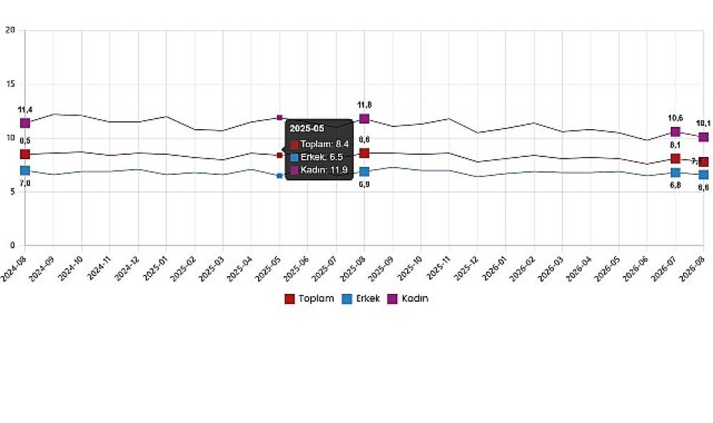 İşg&uuml;c&uuml; İstatistikleri, Ağustos 2026