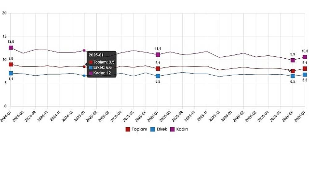 İşg&uuml;c&uuml; İstatistikleri, Temmuz 2026