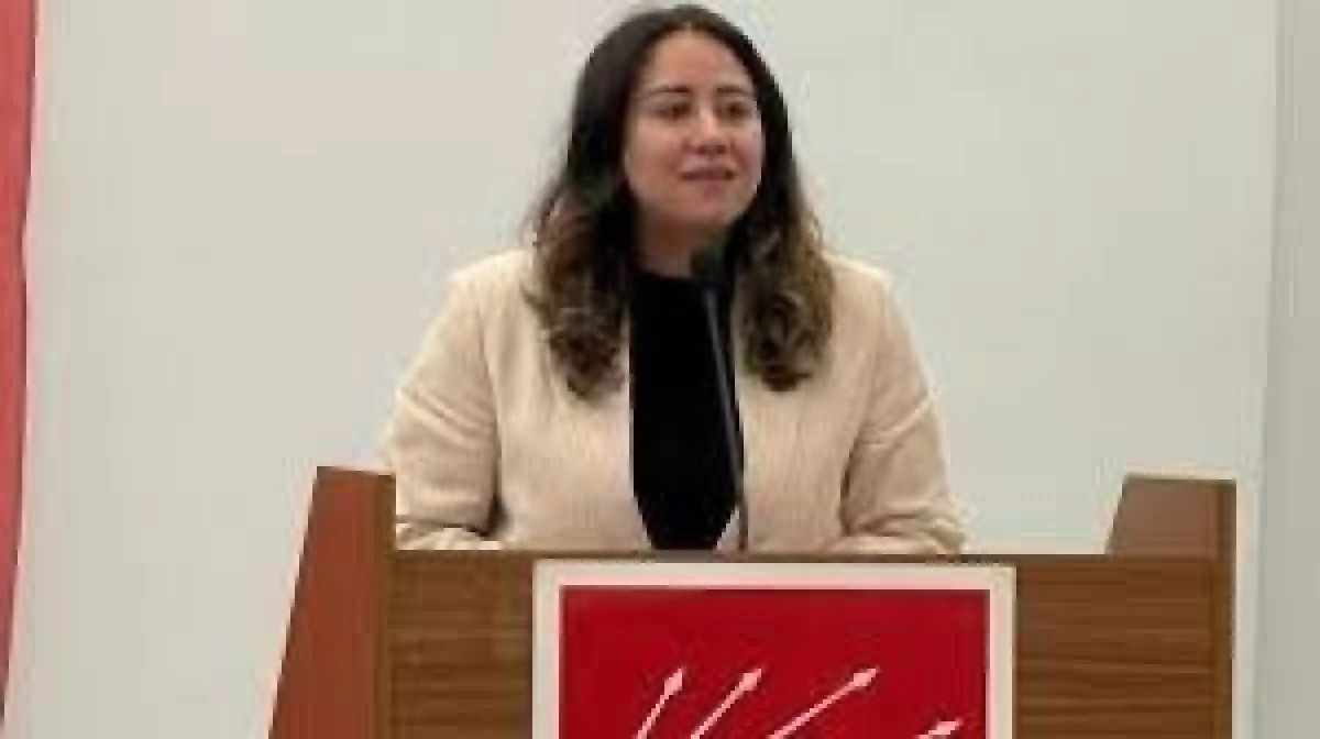 Ay&ccedil;a &Ccedil;ağlar&rsquo;dan Demokrasi ve &Ouml;rg&uuml;t Dayanışması &Ccedil;ağrısı
