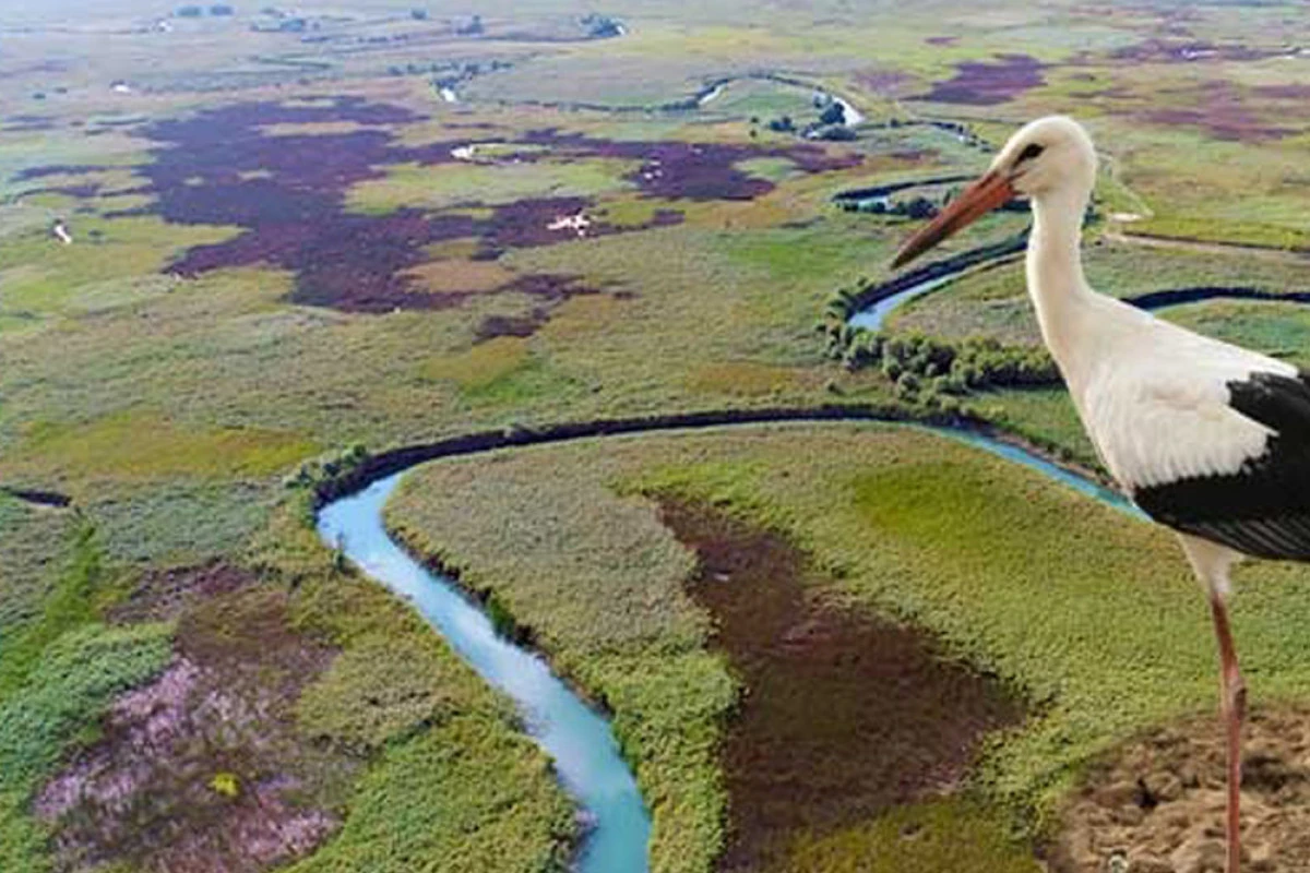Balıkdamı Sulak Alanı İ&ccedil;in Altınoluk&rsquo;ta Doğa Temelli &Ccedil;&ouml;z&uuml;mler Semineri
