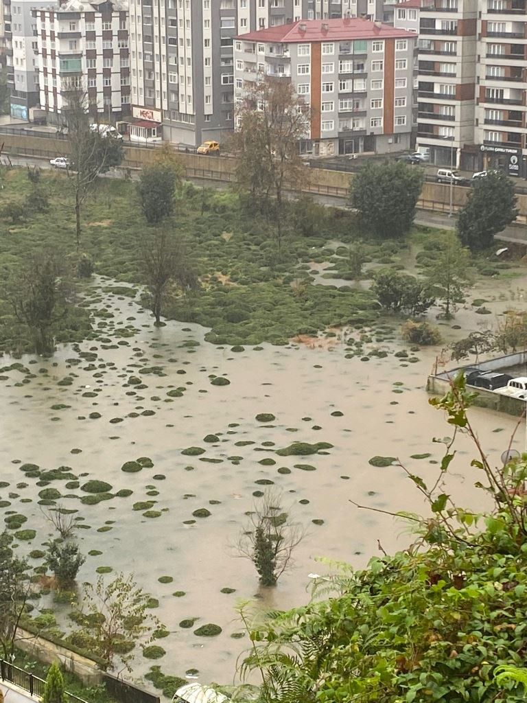 CHP Rize İl Başkanı Saltuk Deniz, Çayeli'nde Meydana Gelen Heyelanla İlgili Sert Açıklamalarda Bulundu