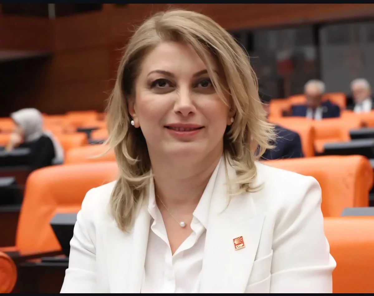 DİYARBAKIR İL BAŞKANI İSMAİL AKYIL: &ldquo;ASU KAYA YALNIZ DEĞİLDİR, CİNSİYET&Ccedil;İ SİYASETE GE&Ccedil;İT VERMEYECEĞİZ&rdquo;