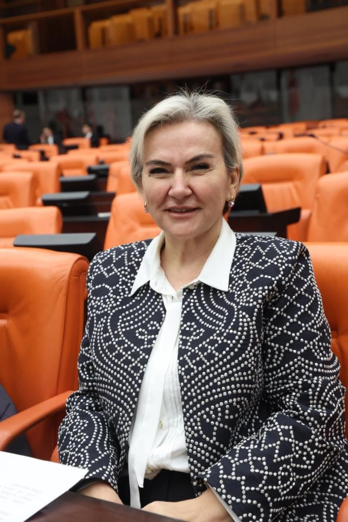 Epstein Dosyası TBMM G&uuml;ndeminde: &Ouml;zel Jet İnişleri ve Yolcu Kayıtları Soruldu