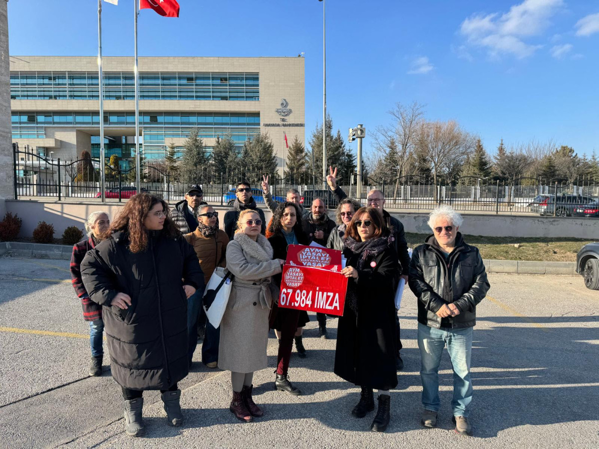 Hayvan Hakları Savunucuları, Yasa’yı İptal Et diyen İmzaları AYM’ye Teslim Etti