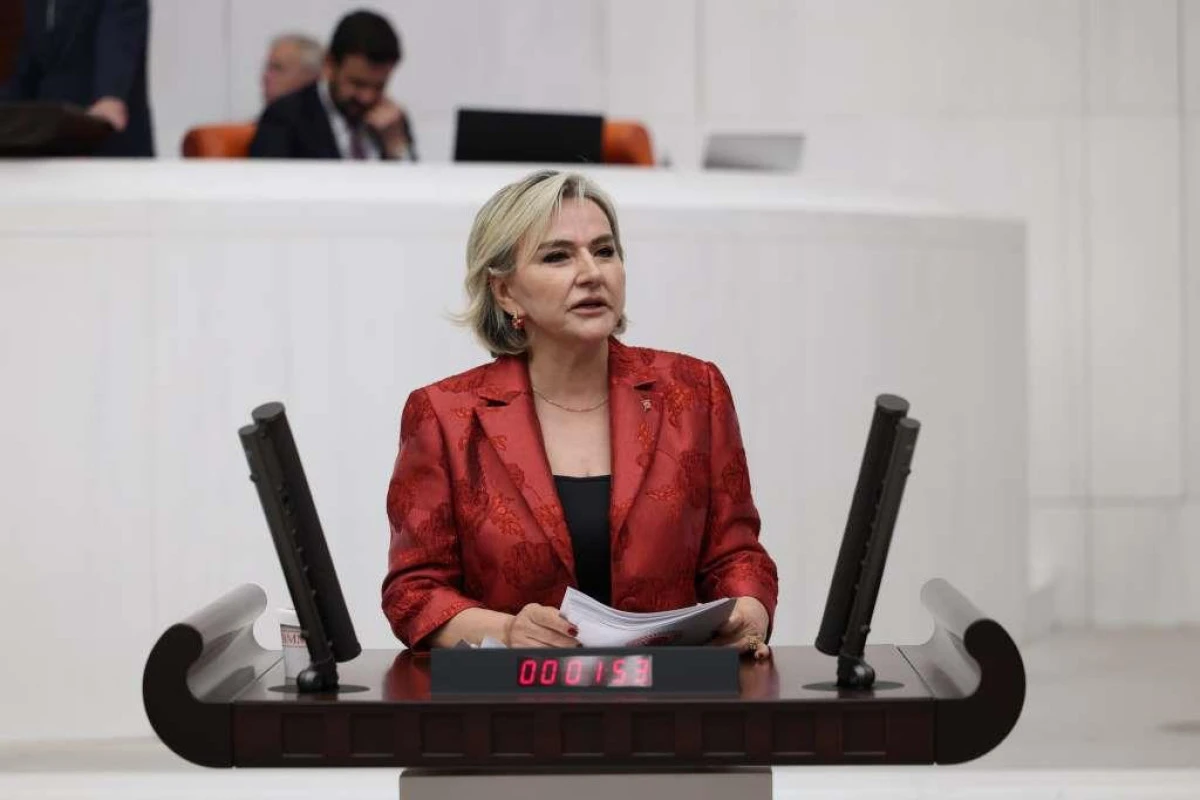 İstanbul Mv. Nimet &Ouml;zdemir "CHP Millet iradesiyle kurulmuş tek partidir"