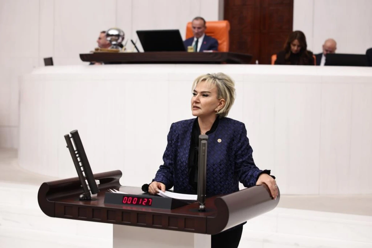 Kadın Cinayetleri Araştırma &Ouml;nergesi TBMM&rsquo;de Reddedildi