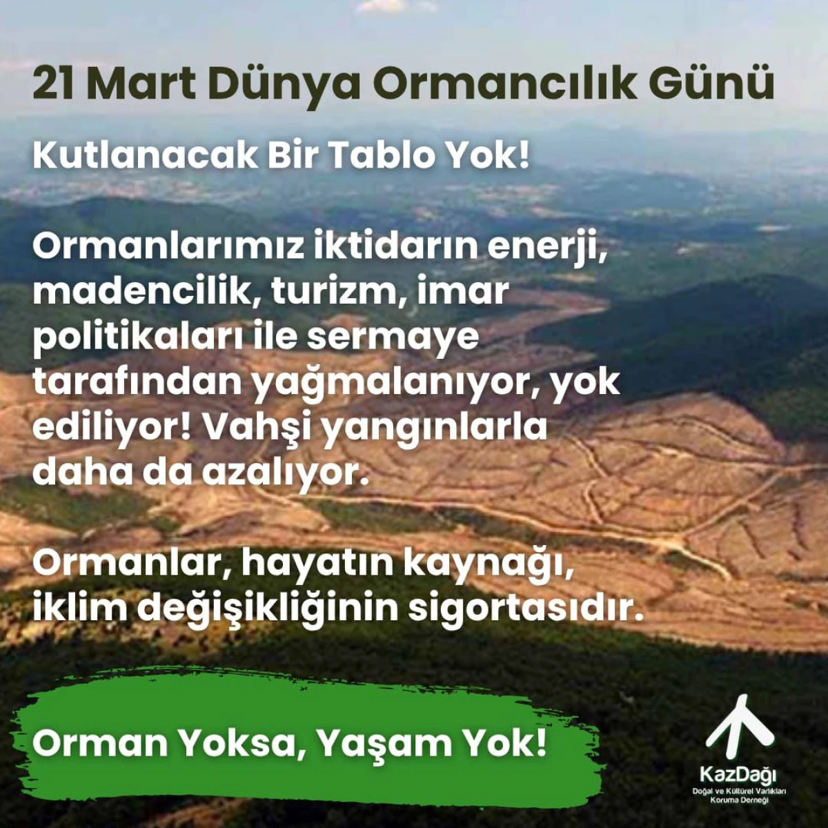 Kazdağı Doğal ve K&uuml;lt&uuml;rel Varlıkları Koruma Derneği: &ldquo;Ormanlarımız rant baskısı altında&rdquo;