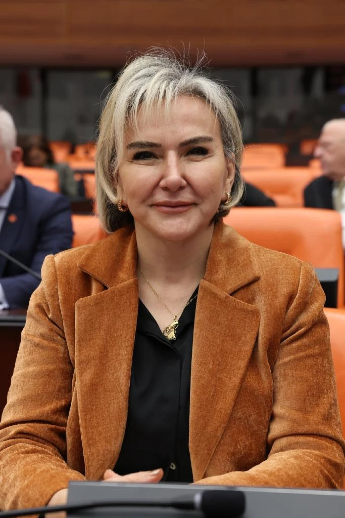 Meclis&rsquo;e Orman Yangınları İ&ccedil;in Araştırma &Ccedil;ağrısı: "İklim Krizi Yapısal Bir Tehdit"