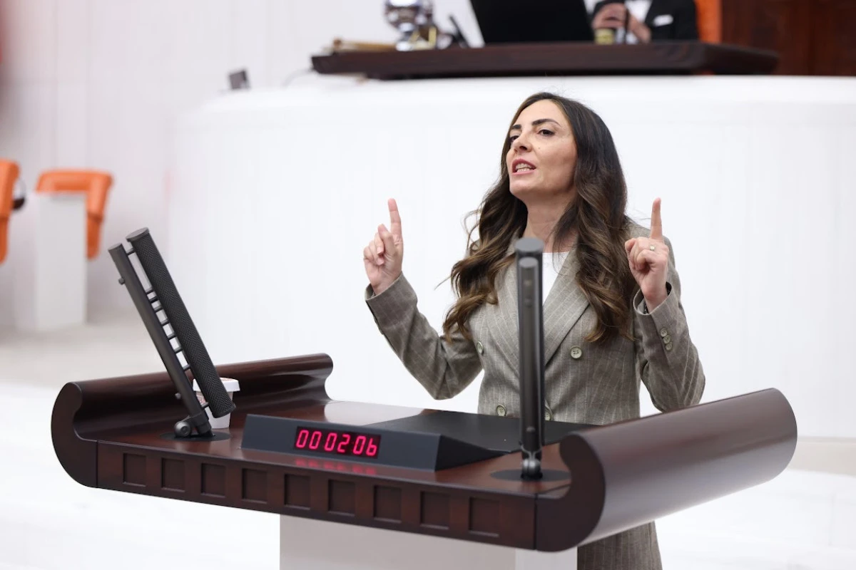 MONARŞİYE GE&Ccedil;İT YOK: &ldquo;EGEMENLİK KAYITSIZ ŞARTSIZ MİLLETİNDİR&rdquo; VİDEOLU HABER