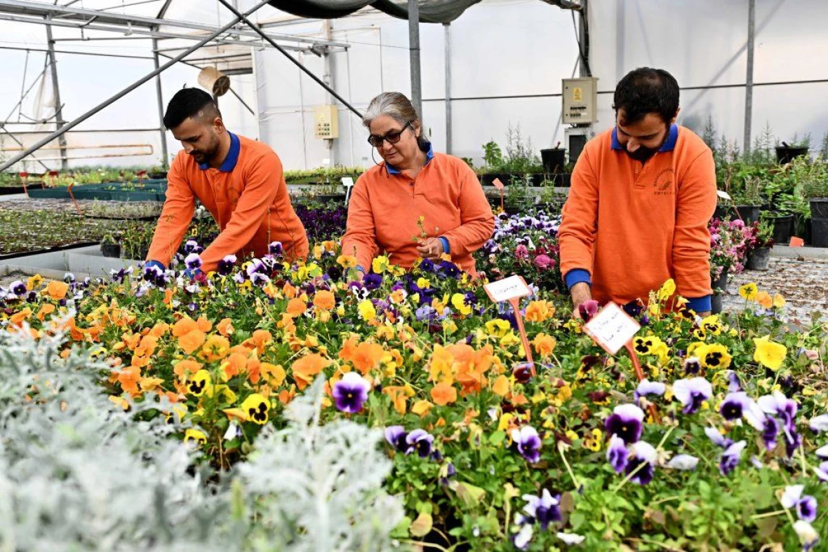 Muratpaşa Belediyesi&rsquo;nden S&uuml;rd&uuml;r&uuml;lebilir Bitki &Uuml;retimi