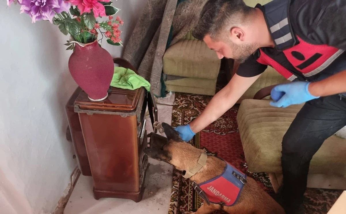 Pazaryeri&rsquo;nde Jandarmadan Uyuşturucu Operasyonu: &Ccedil;ok Sayıda Madde Ele Ge&ccedil;irildi!