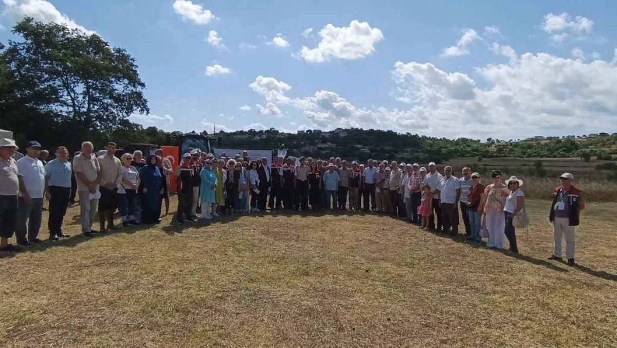 Şile&rsquo;de Keten Hasadı Ger&ccedil;ekleştirildi