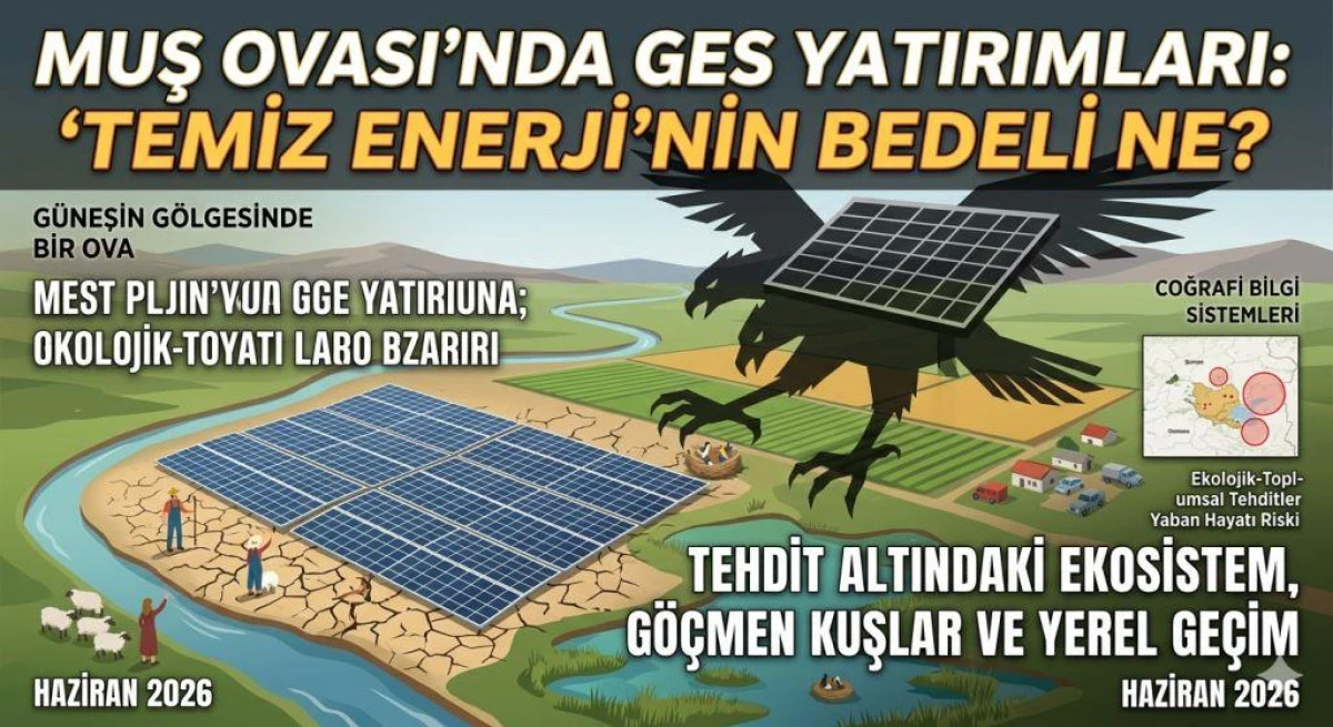 "Temiz" Enerji Muş Ovası'nı Tehdit mi Ediyor? Ezber Bozan Bilimsel Rapor!