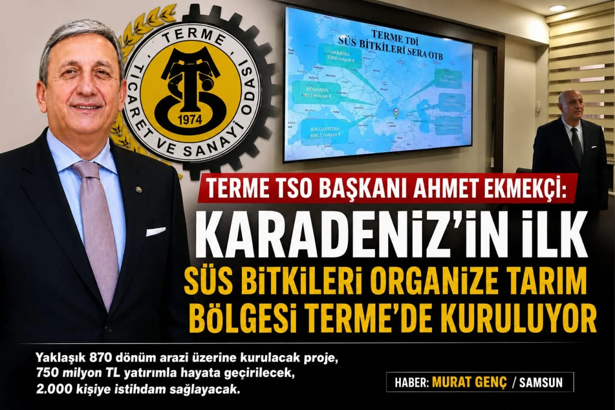 Terme TSO Başkanı Ahmet Ekmek&ccedil;i: "Karadeniz'in ilk S&uuml;s Bitkileri Organize Tarım B&ouml;lgesi Terme'de kuruluyor"