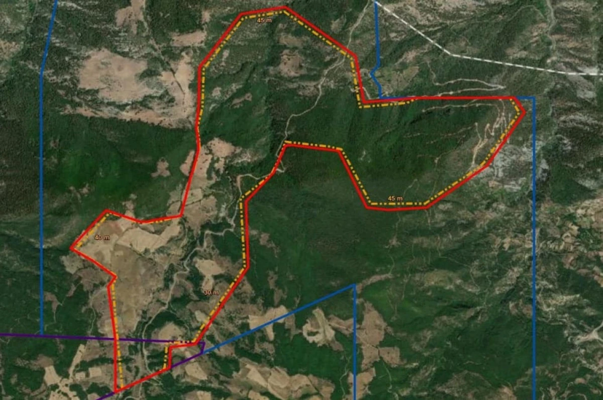 Zafer Partili Aslan&rsquo;dan Eskişehir&rsquo;de Ormanların Talana A&ccedil;ılmasına Tepki: AKP&rsquo;nin Rant Politikalarına Bir Yenisi Daha Eklendi